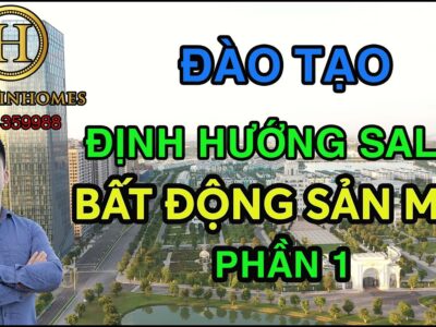 định hướng sale mới cần phải làm gì